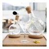Набор декантеров для водки и мартини Bodum Melior, цвет прозрачный изображение №8