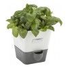 Контейнер для хранения свежей зелени, с автополивом Cole & Mason Fresh Herbs, цвет белый изображение №1