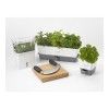 Контейнер для хранения свежей зелени, с автополивом Cole & Mason Fresh Herbs, цвет белый изображение №8