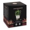 Контейнер для хранения свежей зелени, с автополивом Cole & Mason Fresh Herbs, цвет белый изображение №9