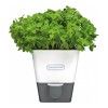 Контейнер для хранения свежей зелени, с автополивом Cole & Mason Fresh Herbs, цвет белый изображение №0