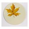 Блюдо сервировочное плоское Ceramiche Noi Leaves, 24 см, цвет белый изображение №0