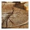 Доска сервировочная из натурального мрамора Be Home Forest, 30.5 см, цвет бежевый изображение №2