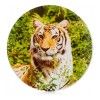 Блюдо сервировочное Тигр, 24 см, цвет зеленый изображение №0